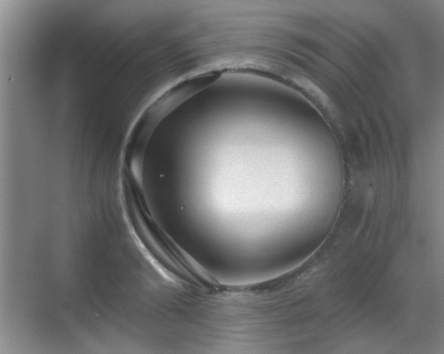 X0000069810894200605221201