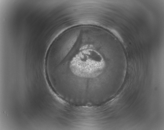 X0000069810895200605221201