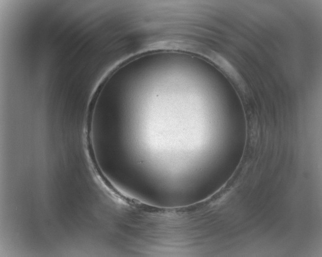 X0000069810896200605221201