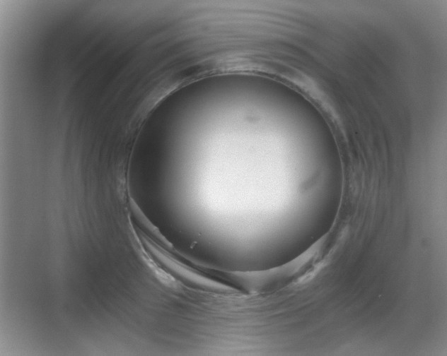 X0000069810897200605221201