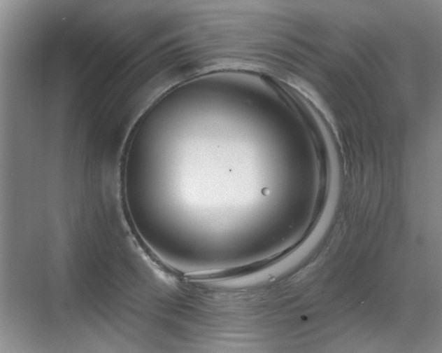 X0000069810898200605221201