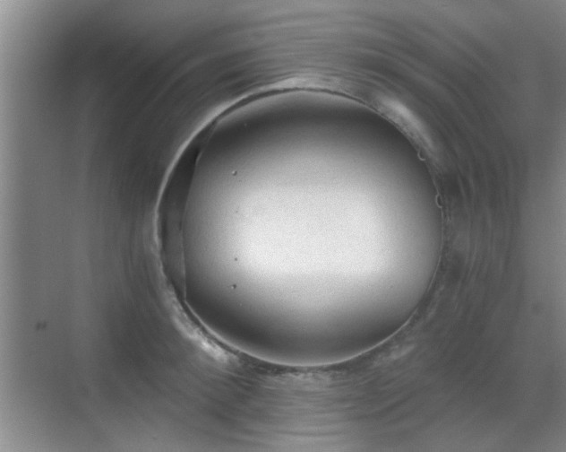 X0000069810900200605221201