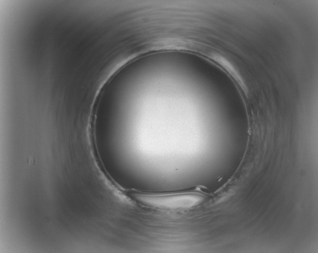 X0000069810901200605221201