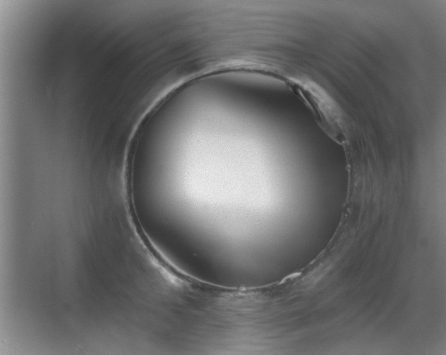 X0000069810902200605221201