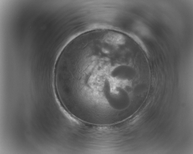 X0000069810903200605221201