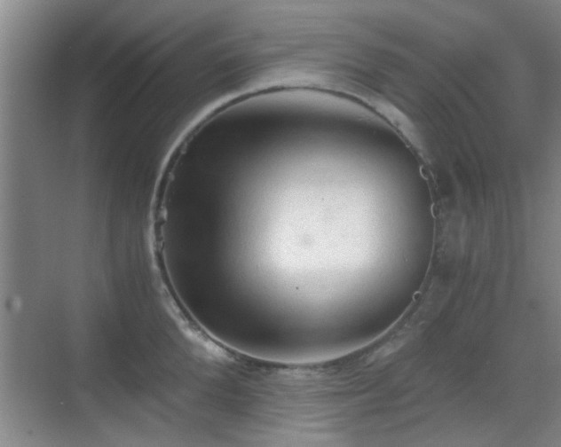 X0000069810904200605221201