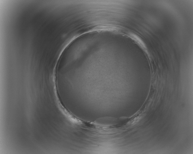 X0000069810907200605221201