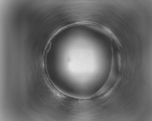 X0000069810908200605221201