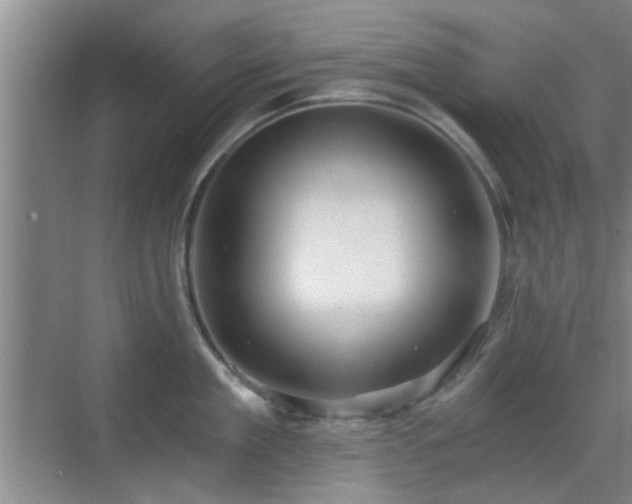 X0000069810909200605221201