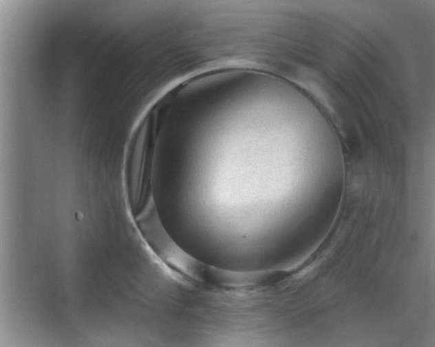 X0000069810910200605221201