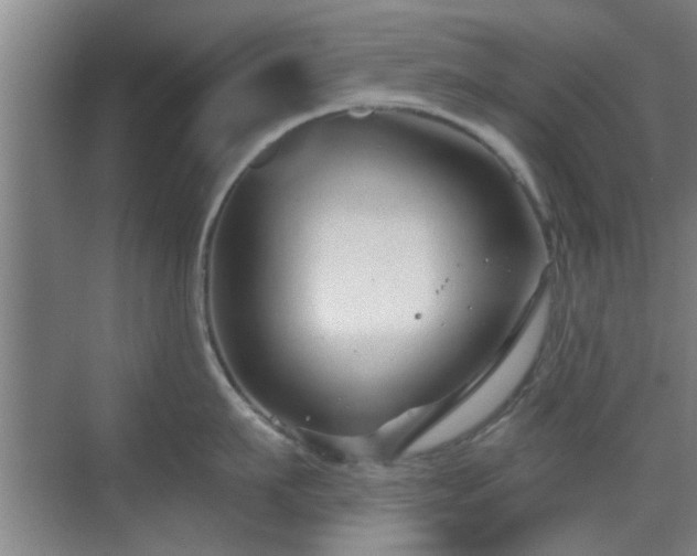 X0000069810911200605221201