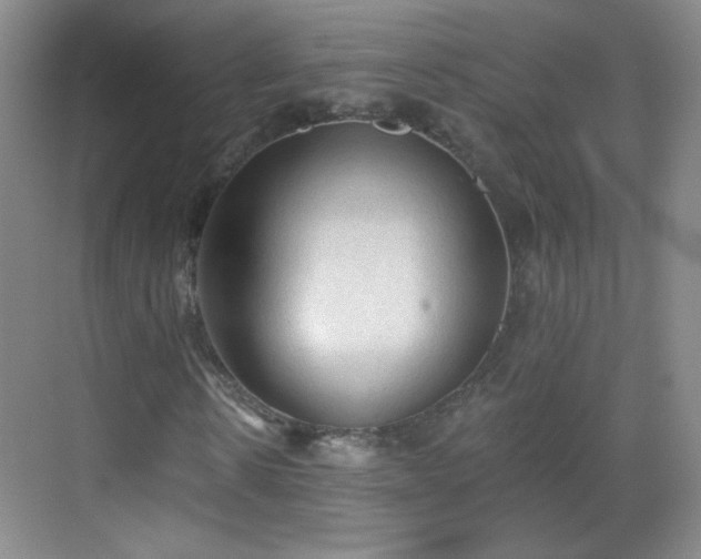 X0000069810914200605221200