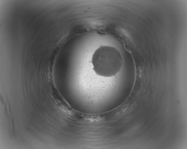 X0000069810915200605221200