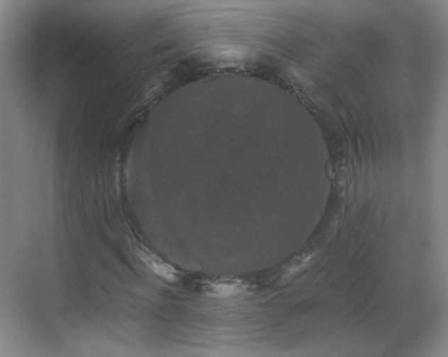 X0000069810916200605221200