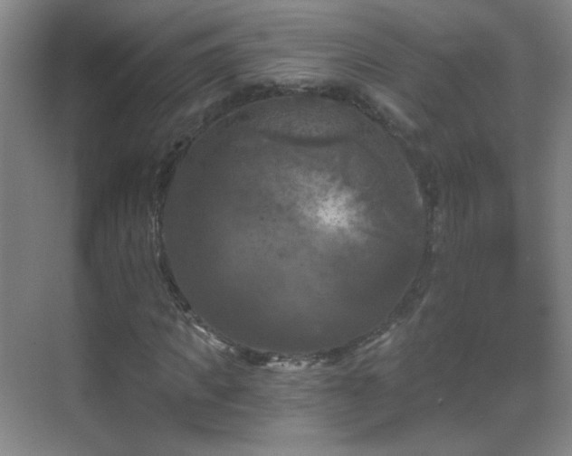 X0000069810917200605221200