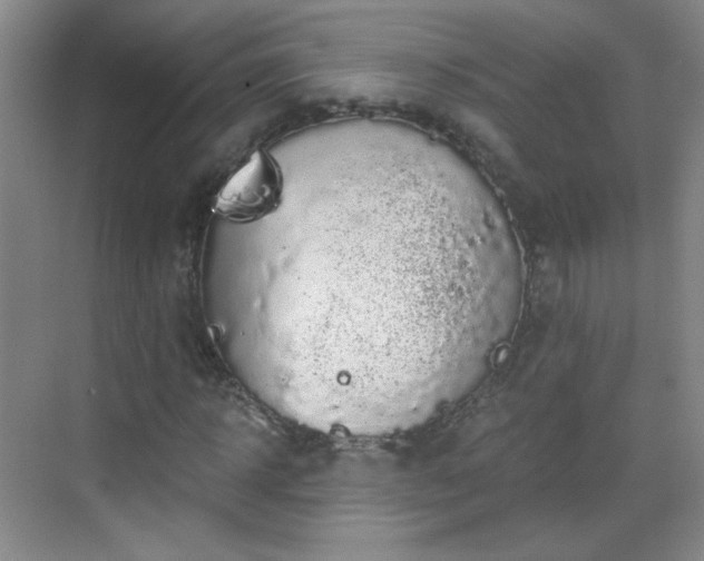 X0000069810918200605221200