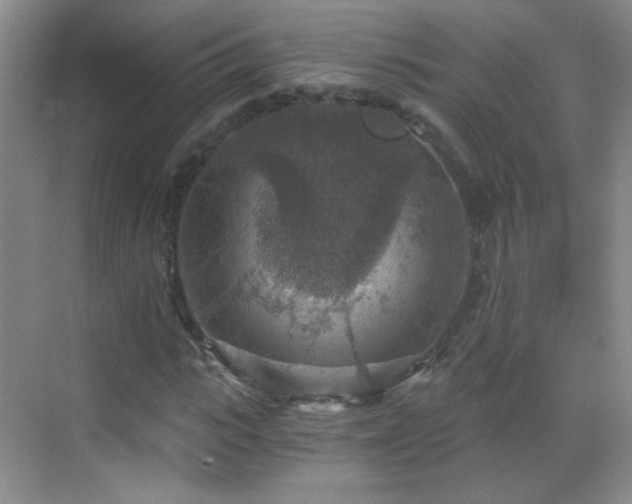 X0000069810919200605221200