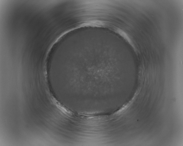 X0000069810923200605221200