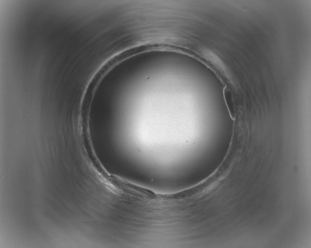 X0000069810924200605221200