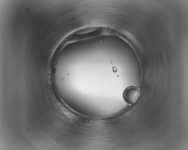 X0000069810926200605221200