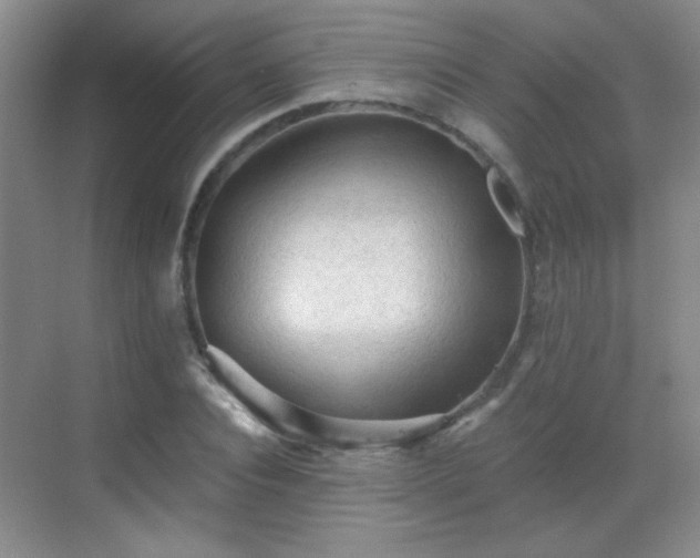 X0000069810928200605221200