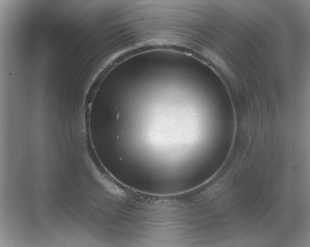 X0000069810934200605221200