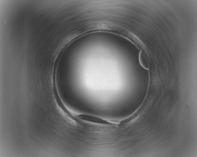 X0000069810938200605221200