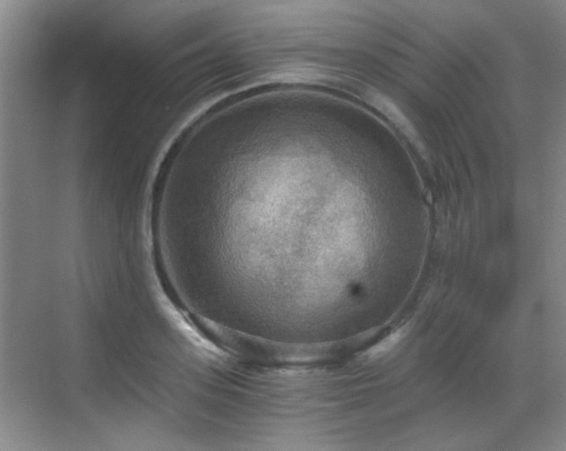 X0000069810939200605221200