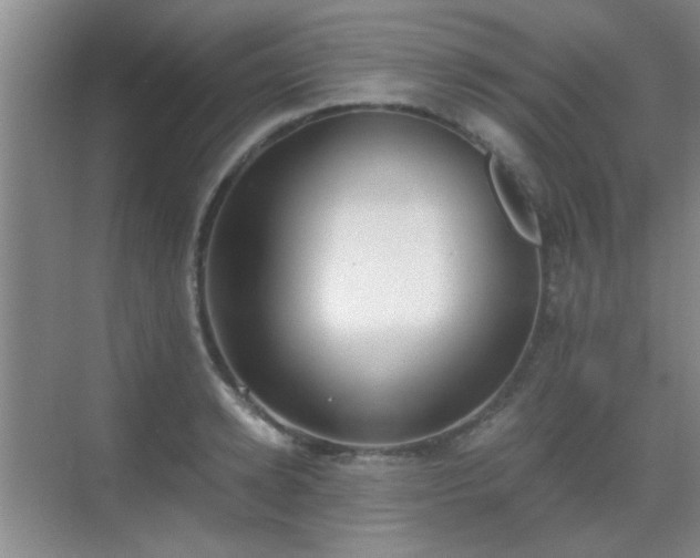 X0000069810942200605221200