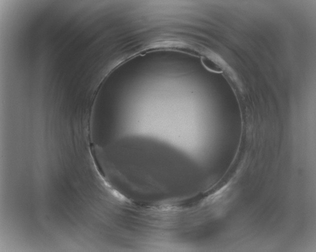 X0000069810945200605221200