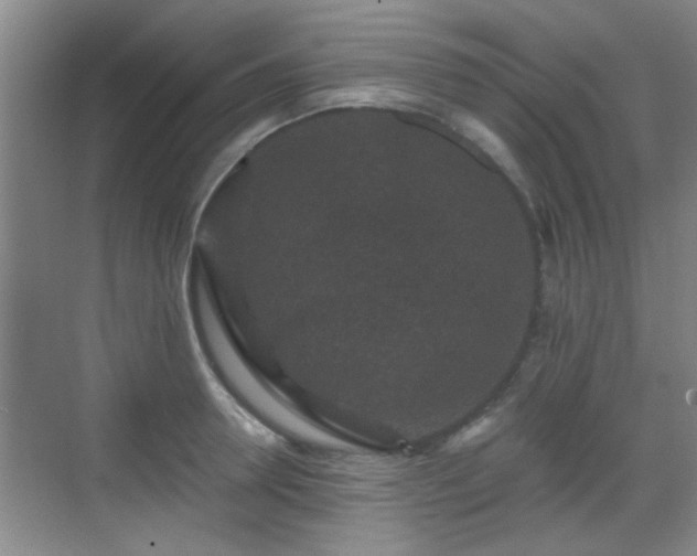 X0000069810946200605221200