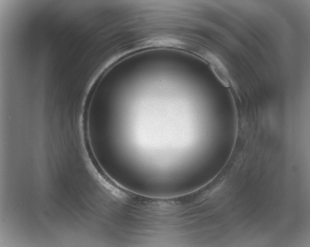 X0000069810947200605221200