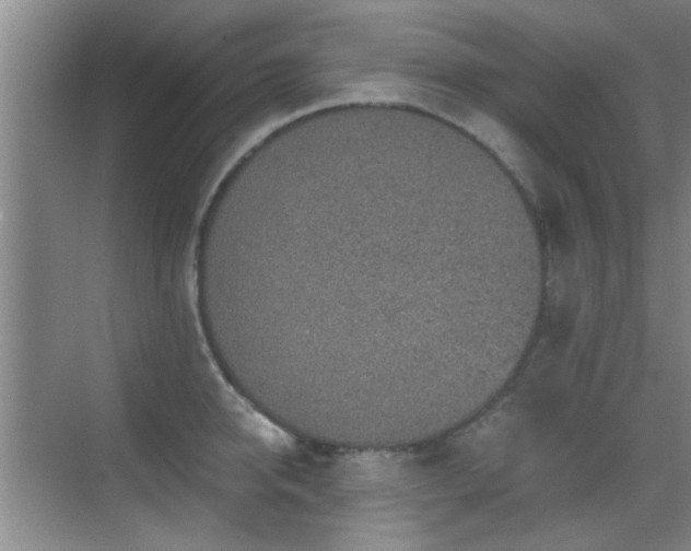 X0000069810950200605221201