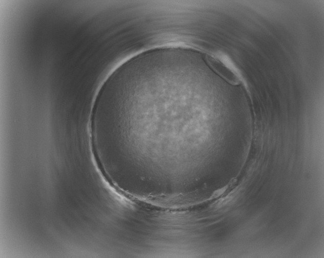 X0000069810951200605221201