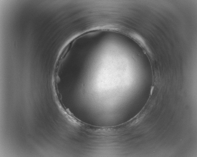 X0000069810952200605221201