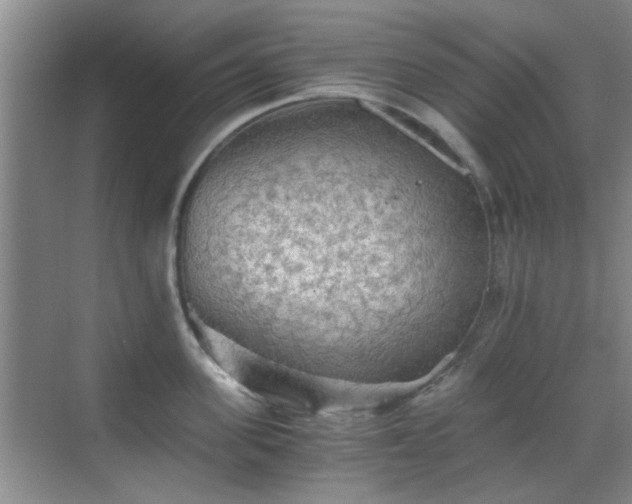 X0000069810955200605221201