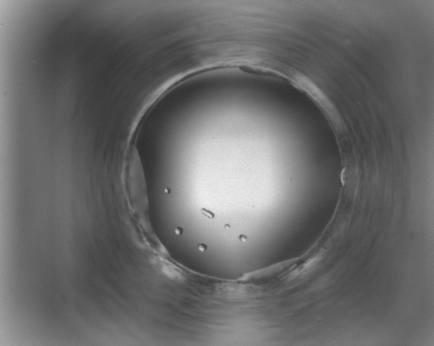 X0000069810956200605221201