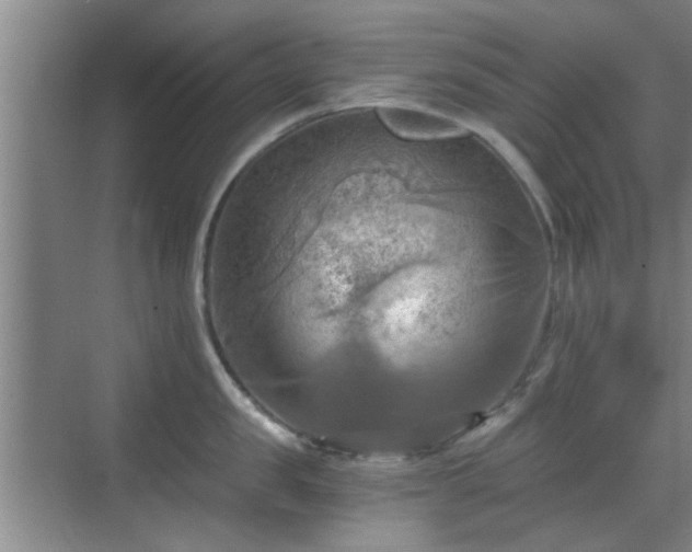 X0000069810957200605221201