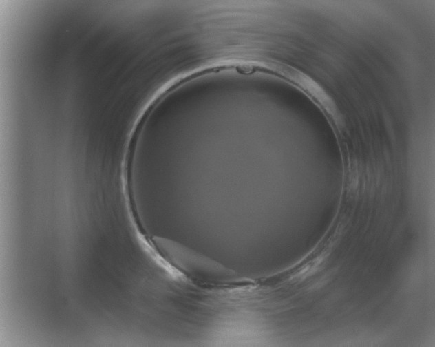 X0000069810958200605221201