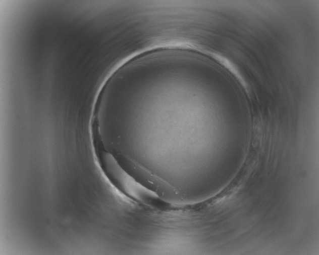 X0000069810959200605221201