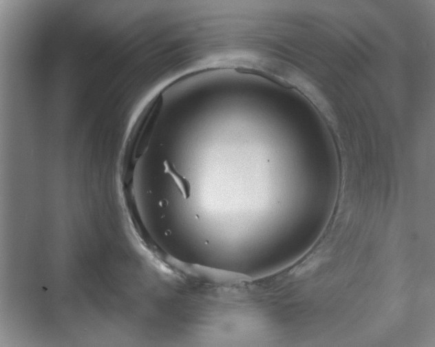 X0000069810960200605221201