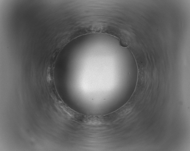 X0000069810962200605221200