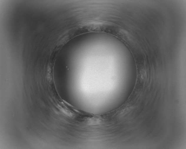 X0000069810964200605221200