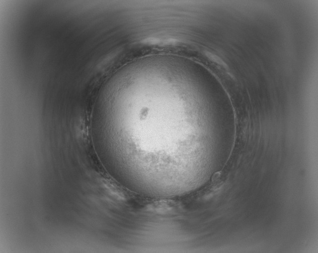 X0000069810966200605221200