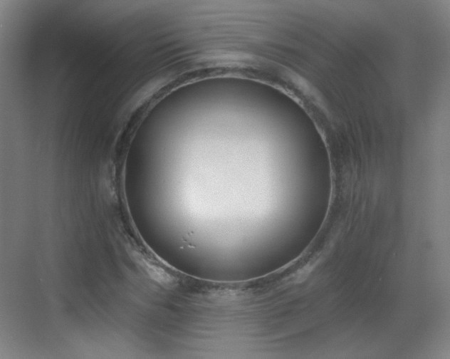 X0000069810970200605221200