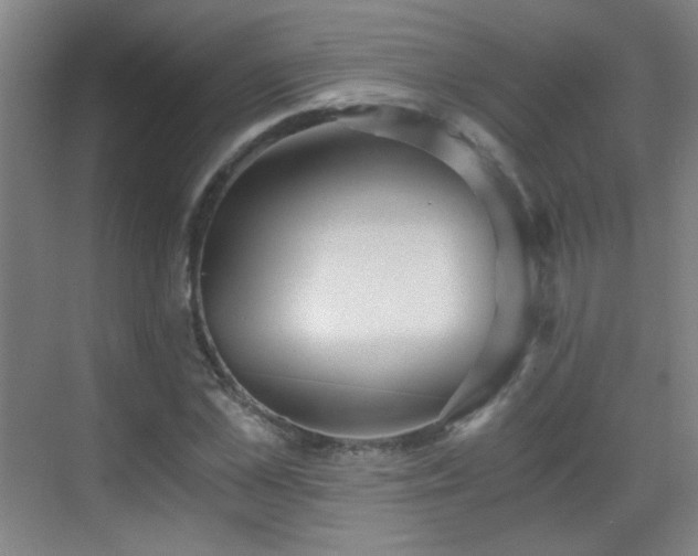 X0000069810973200605221200