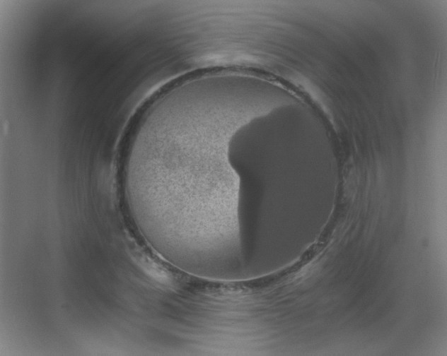 X0000069810975200605221200