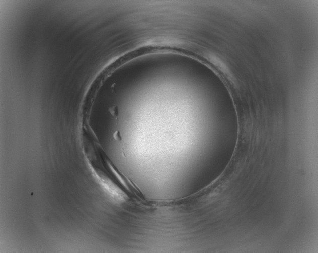 X0000069810976200605221200