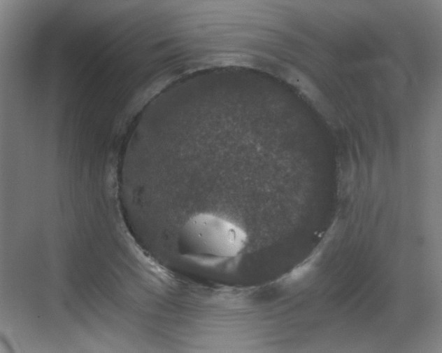 X0000069810977200605221200