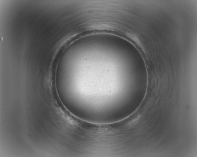 X0000069810979200605221200